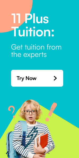 11 Plus Tuition - Get tuition from the experts - Try now